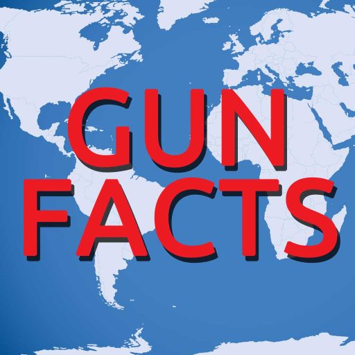 11 Facts About Guns